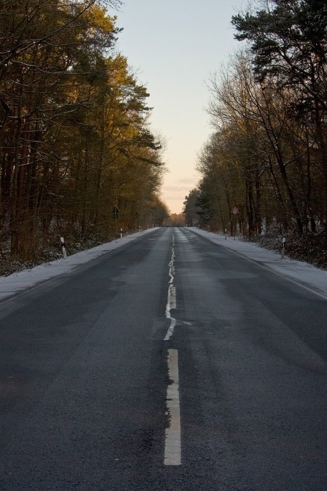 Обои дорога, лес, зима, разметка, знак, road, forest, winter, markup, sign разрешение 1920x1200 Загрузить