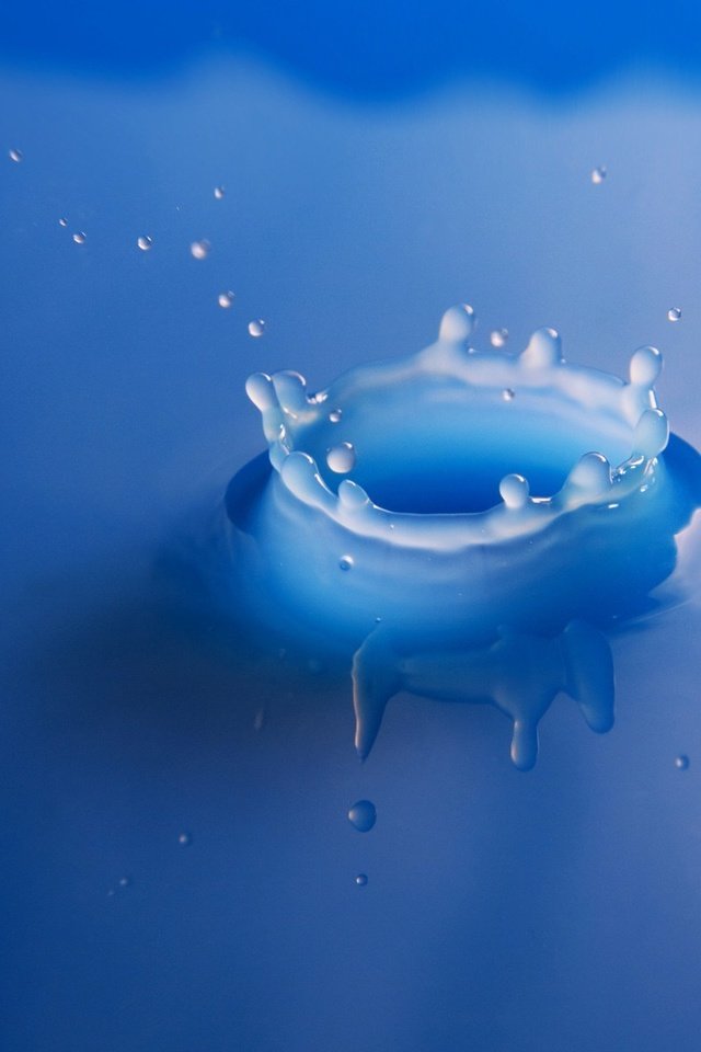Обои вода, синий, брызги, молоко, water, blue, squirt, milk разрешение 1920x1200 Загрузить