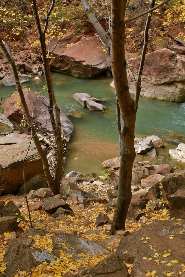 Обои река, природа, камни, лес, пейзаж, листва, осень, river, nature, stones, forest, landscape, foliage, autumn разрешение 1920x1080 Загрузить