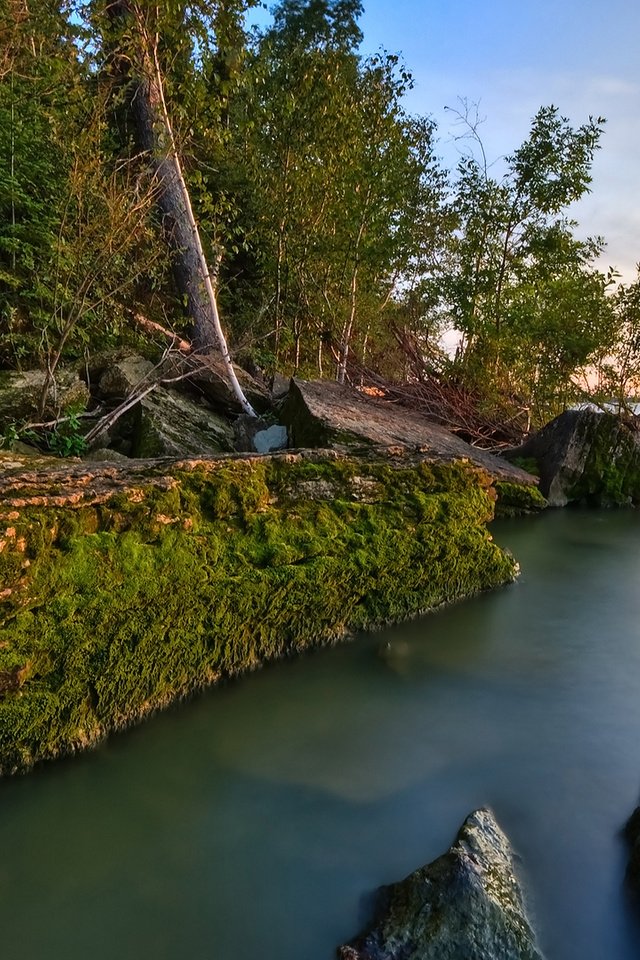 Обои озеро, камни, берег, лес, мох, вода гладкая поверхность, lake, stones, shore, forest, moss разрешение 1920x1080 Загрузить