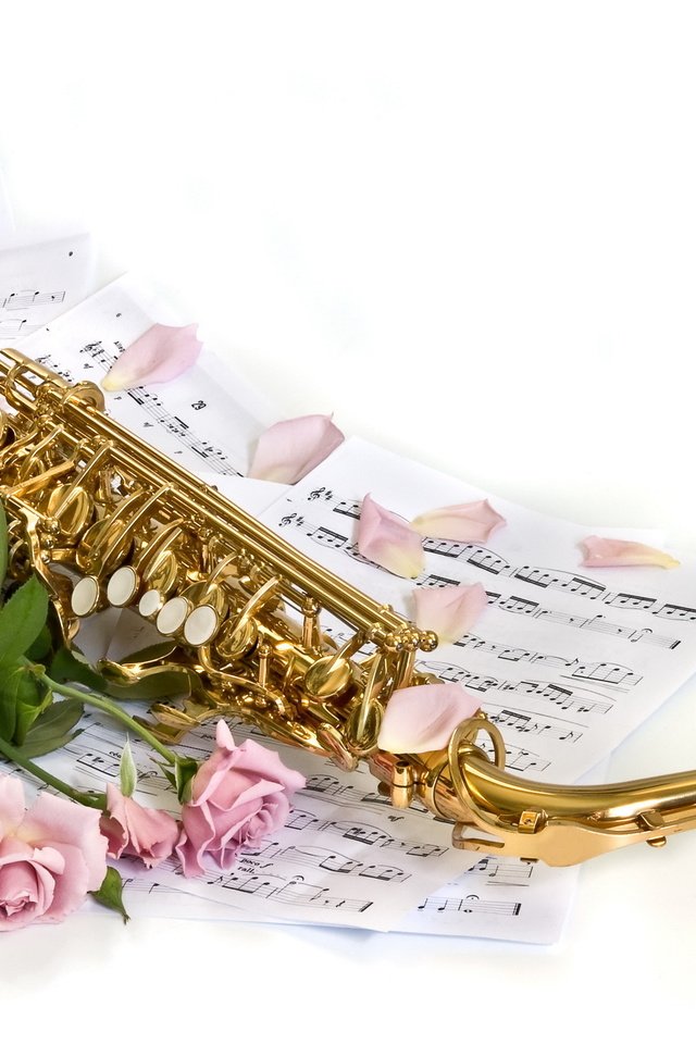 Обои цветы, фон, розы, ноты, лепестки, белый, саксофон, flowers, background, roses, notes, petals, white, saxophone разрешение 2560x1600 Загрузить