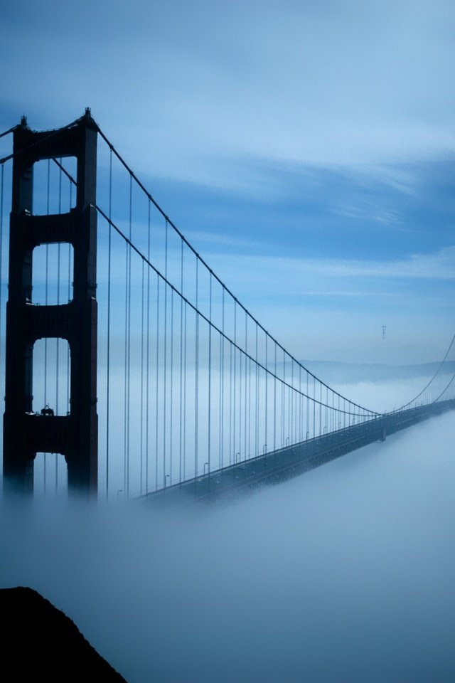 Обои утро, туман, мост, подвесной, morning, fog, bridge, pendant разрешение 4016x2649 Загрузить