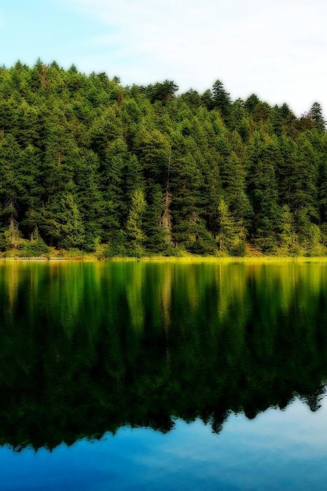 Обои озеро, природа, лес, отражение леса и неба, lake, nature, forest, reflection of forest and sky разрешение 1920x1080 Загрузить