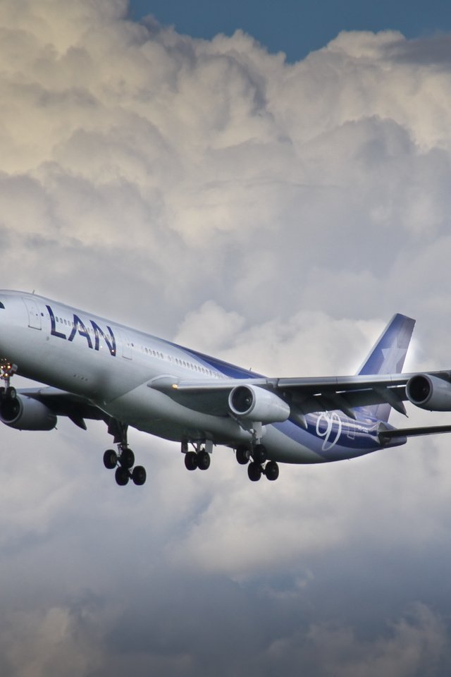 Обои облака, полет, airbus, a340, clouds, flight разрешение 4042x2699 Загрузить