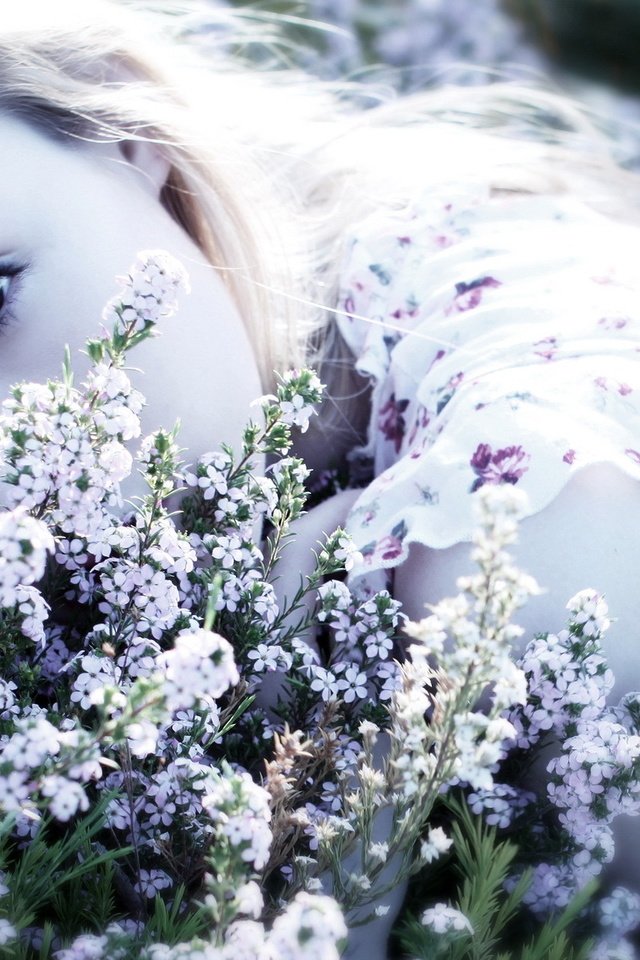 Обои цветы, девушка, блондинка, взгляд, лицо, полевые цветы, flowers, girl, blonde, look, face, wildflowers разрешение 1920x1200 Загрузить
