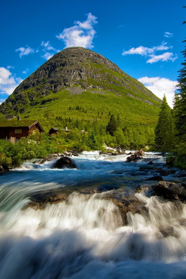 Обои деревья, река, лес, пейзаж, гора, поток, норвегия, trees, river, forest, landscape, mountain, stream, norway разрешение 2560x1600 Загрузить