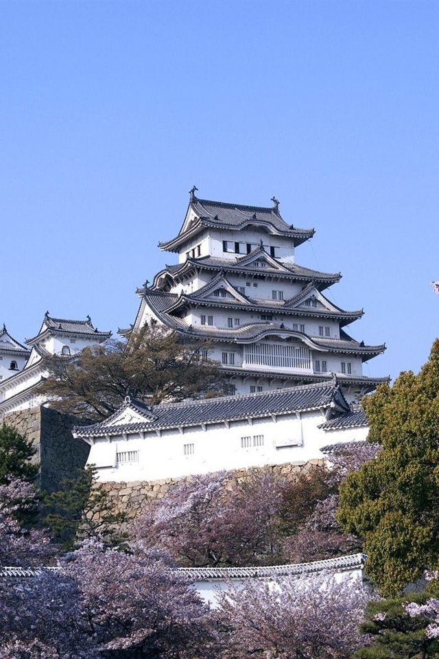 Обои замок, япония, сакура, castle, japan, sakura разрешение 1920x1200 Загрузить