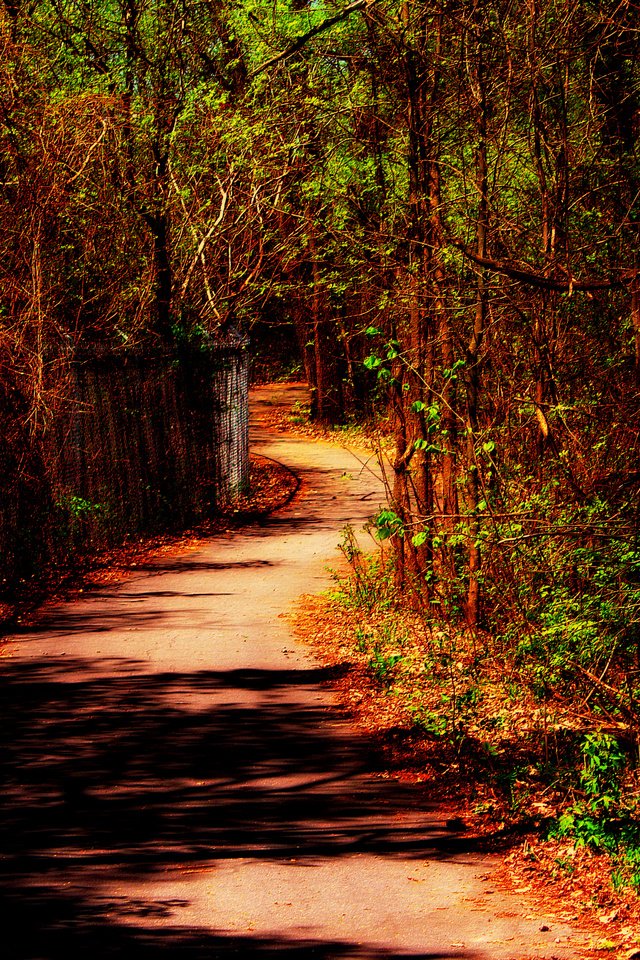 Обои дорога, деревья, природа, осень, забор, путь, road, trees, nature, autumn, the fence, the way разрешение 2802x1865 Загрузить