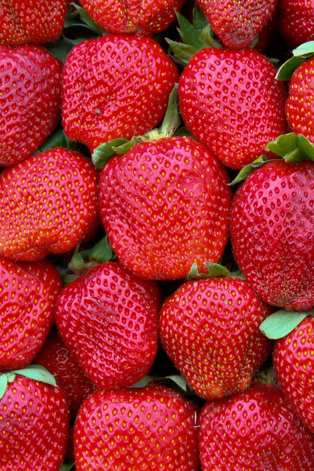 Обои узор, краcный, земляника, грин, pattern, red, strawberries, green разрешение 2880x1800 Загрузить