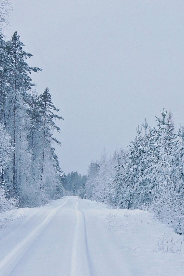 Обои дорога, деревья, зима, road, trees, winter разрешение 1920x1080 Загрузить