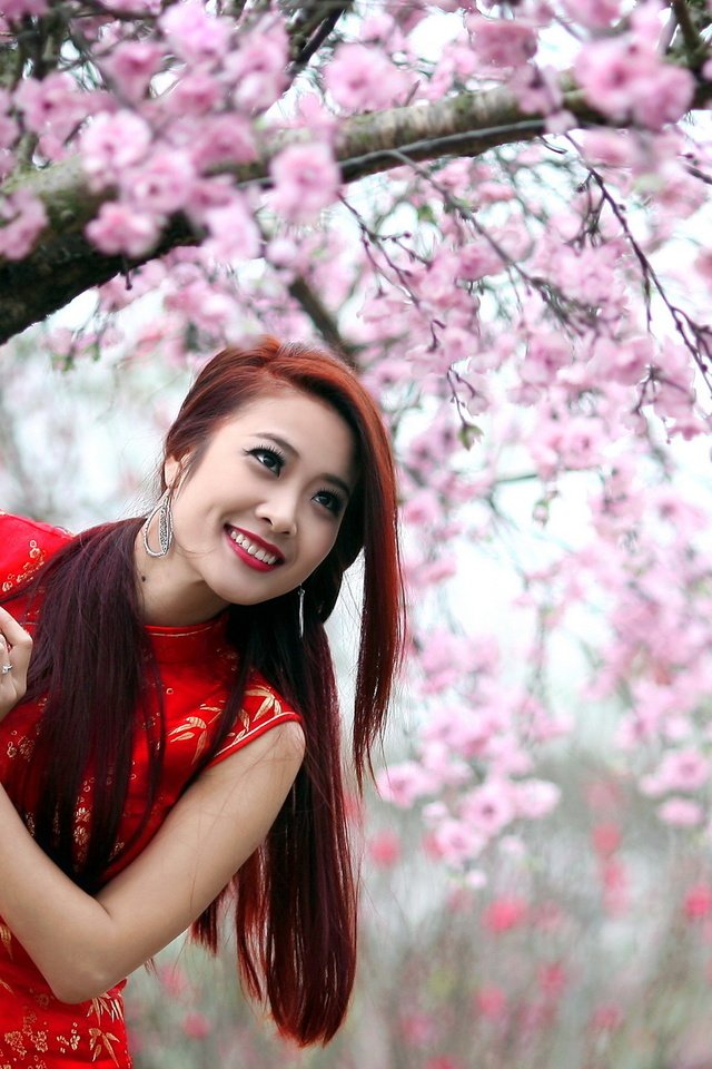 Обои девушка, фон, взгляд, весна, азиатка, girl, background, look, spring, asian разрешение 2560x1440 Загрузить