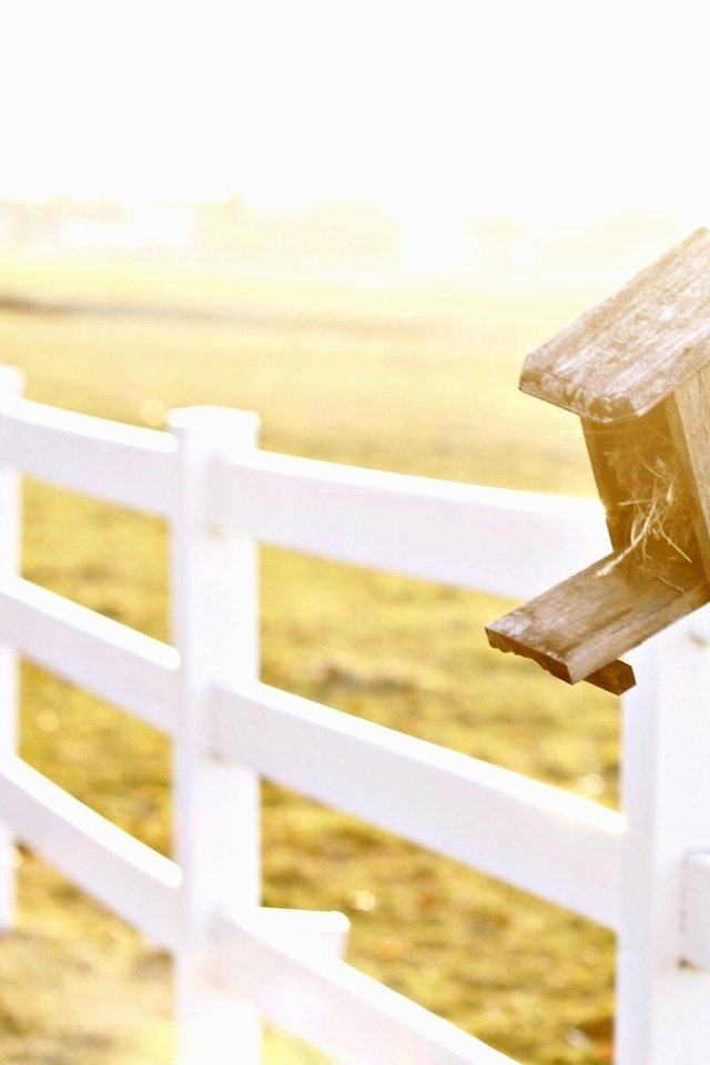 Обои природа, поле, забор, ограда, nature, field, the fence, fence разрешение 1920x1200 Загрузить