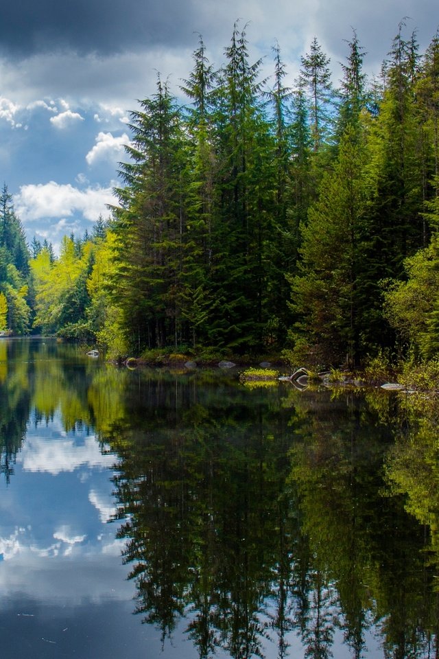 Обои озеро, лес, отражения, весна, канада, британская колумбия, lake, forest, reflection, spring, canada, british columbia разрешение 2048x1151 Загрузить