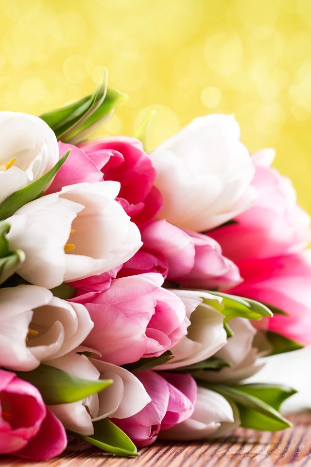 Обои цветы, весна, букет, тюльпаны, подарок, flowers, spring, bouquet, tulips, gift разрешение 4500x3144 Загрузить