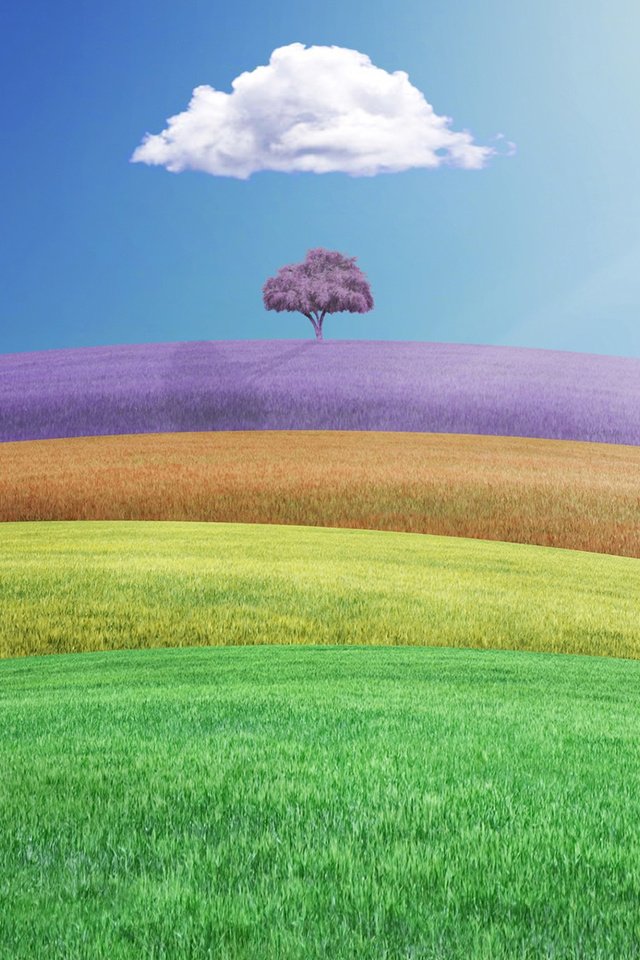 Обои дерево, пейзаж, поле, рендер, 3д, tree, landscape, field, render, 3d разрешение 1920x1200 Загрузить