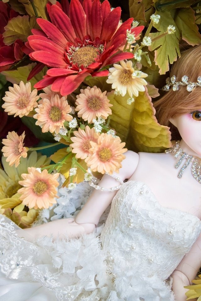 Обои цветы, игрушка, кукла, flowers, toy, doll разрешение 1920x1280 Загрузить