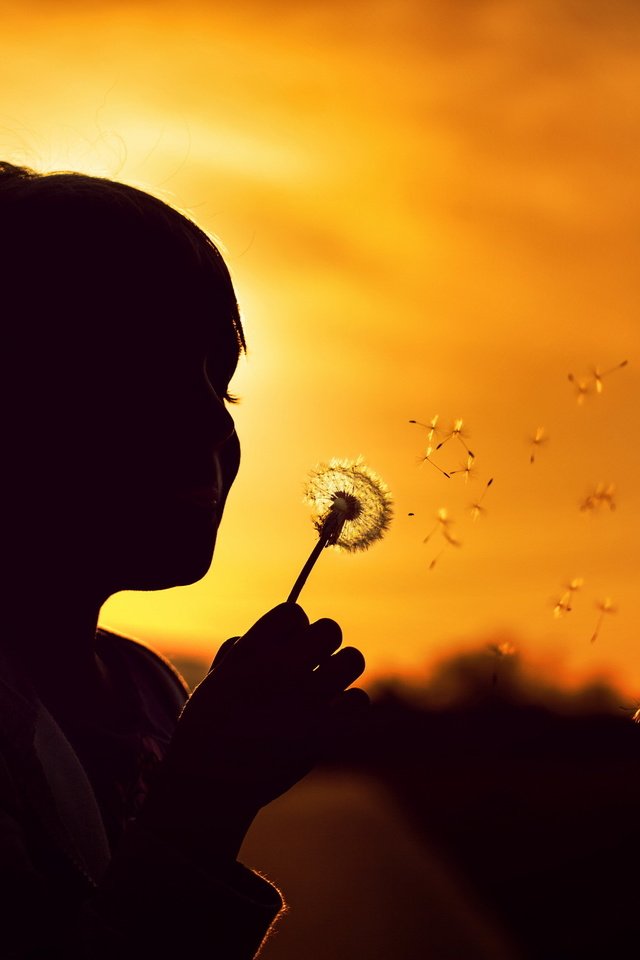 Обои природа, закат, девочка, силуэт, одуванчик, детство, nature, sunset, girl, silhouette, dandelion, childhood разрешение 2560x1600 Загрузить