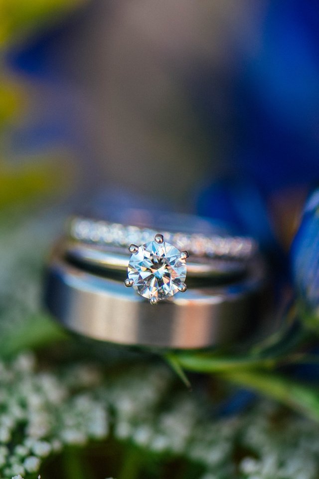 Обои цветы, камень, кольцо, обручальное, синие лепестки, flowers, stone, ring, wedding, blue petals разрешение 6016x4016 Загрузить