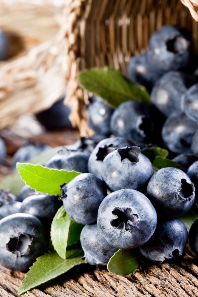 Обои ягоды, лесные ягоды, черника, корзинка, парное, черничный, berries, blueberries, basket, fresh, blueberry разрешение 2880x1920 Загрузить