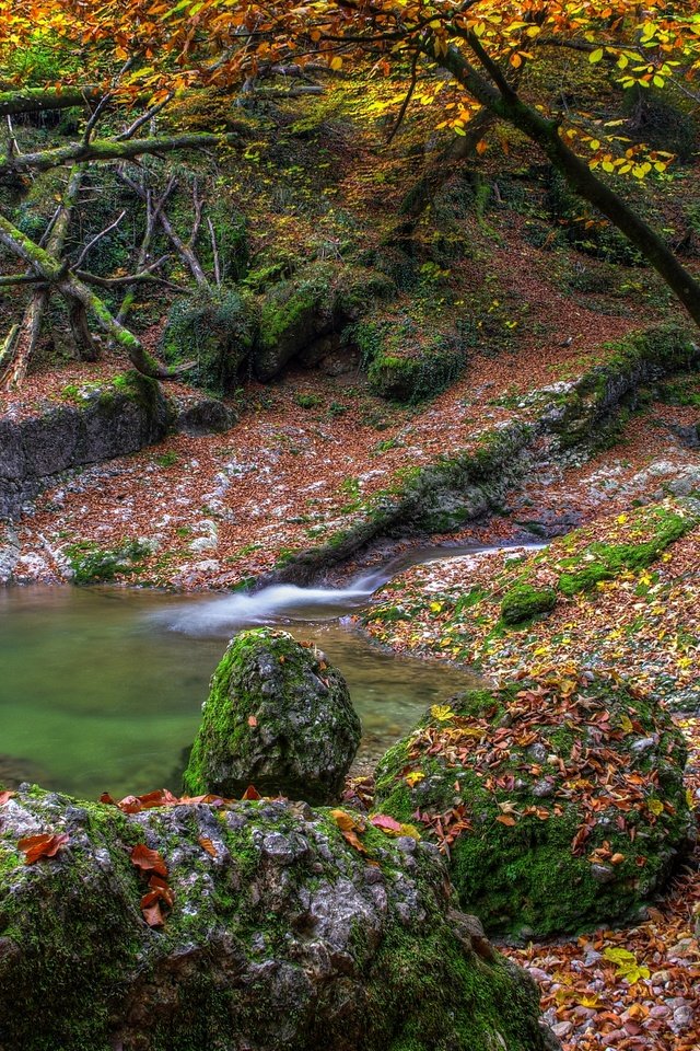 Обои вода, камни, листва, осень, опадают, осен,  листья, water, stones, foliage, autumn, fall, leaves разрешение 4287x2847 Загрузить