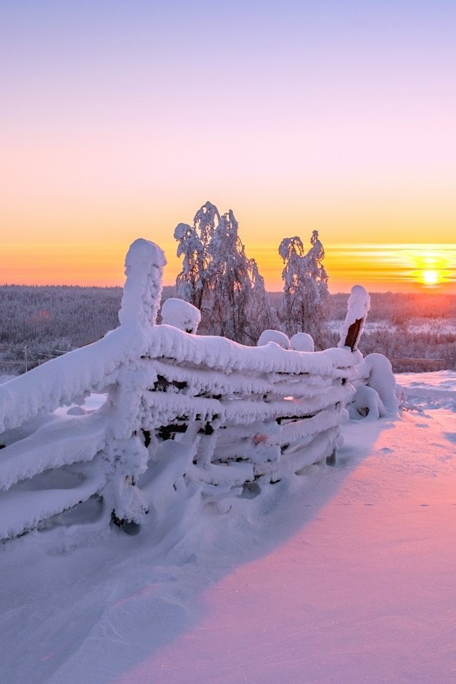 Обои солнце, снег, природа, зима, фон, забор, розовое небо, the sun, snow, nature, winter, background, the fence, pink sky разрешение 2560x1440 Загрузить