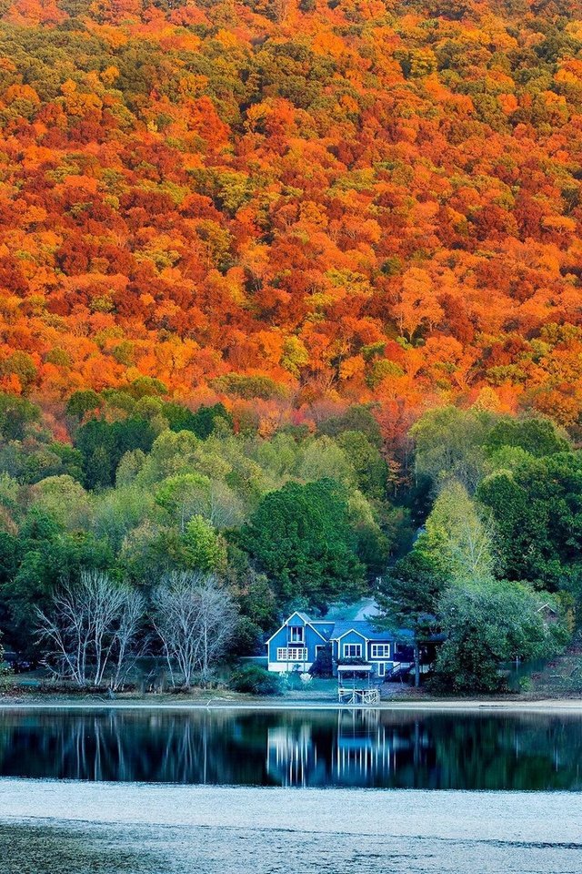 Обои лес, осень, дом, alabama in autumn, forest, autumn, house разрешение 2048x1365 Загрузить