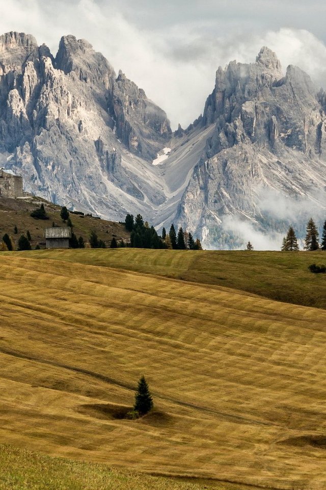 Обои горы, поля, дома, италия, южный тироль, трентино-альто-адидже, mountains, field, home, italy, south tyrol, trentino-alto adige / südtirol разрешение 1920x1200 Загрузить