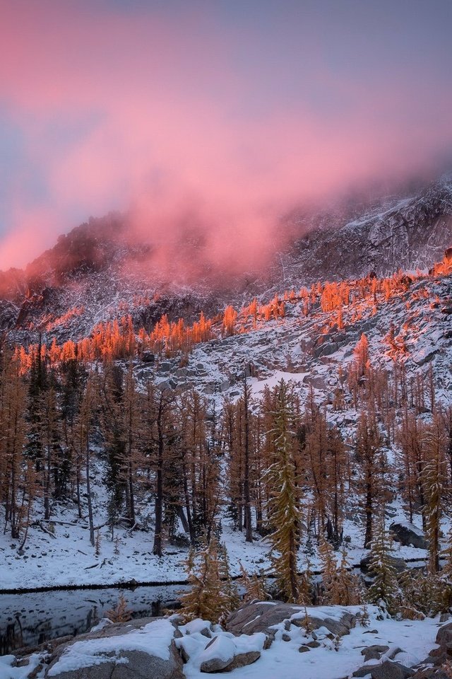 Обои деревья, горы, снег, природа, зима, утро, сша, штат вашингтон, trees, mountains, snow, nature, winter, morning, usa, washington разрешение 2047x1304 Загрузить