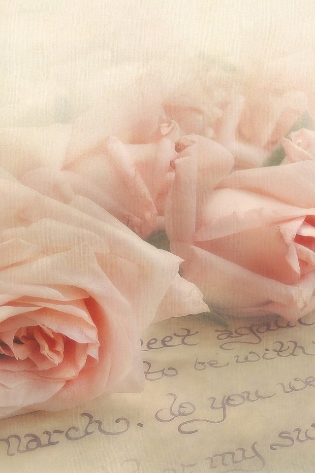 Обои цветы, розы, лепестки, букет, письмо, flowers, roses, petals, bouquet, letter разрешение 1920x1200 Загрузить