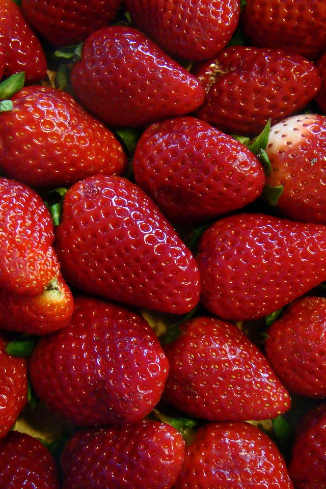 Обои красная, клубника, спелая, ягоды, red, strawberry, ripe, berries разрешение 2700x2025 Загрузить