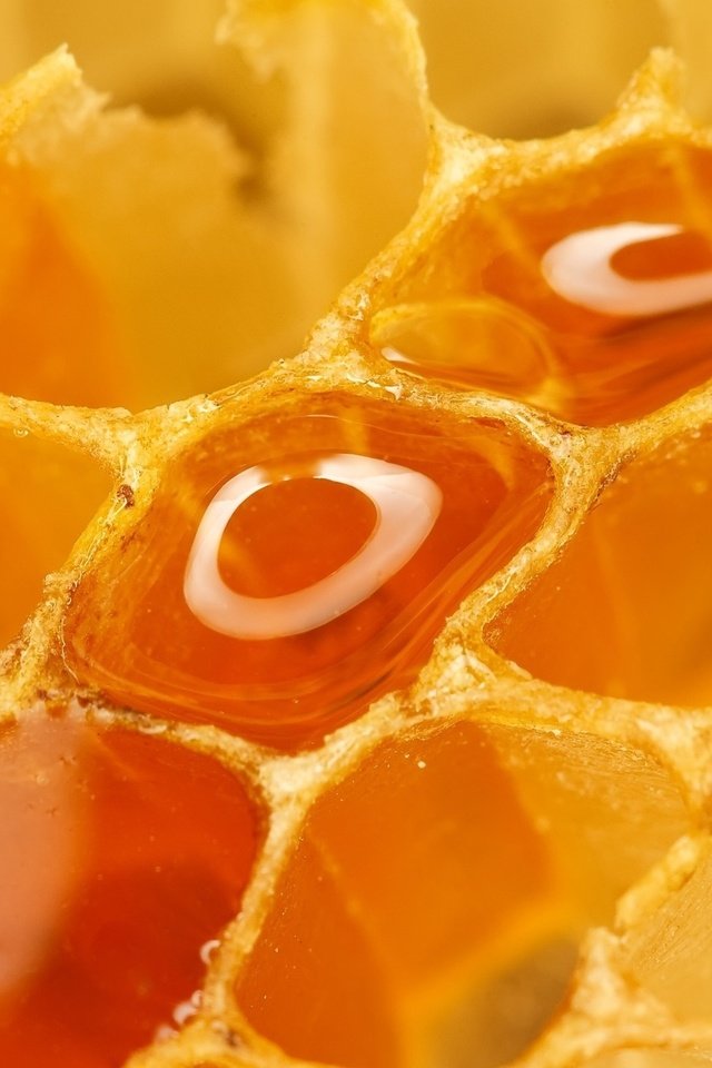 Обои соты, сладкое, мед, крупным планом, cell, sweet, honey, closeup разрешение 2560x1600 Загрузить