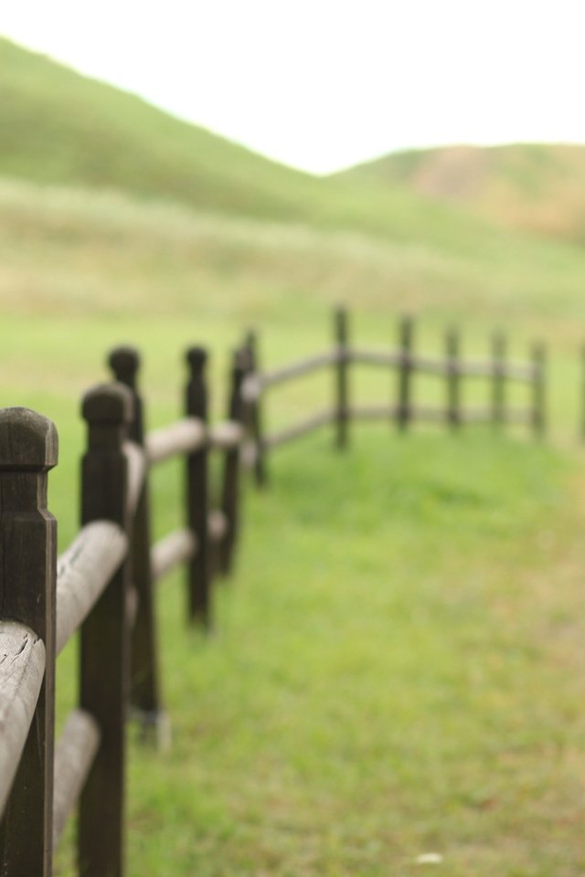 Обои трава, холмы, природа, пейзаж, поле, забор, тропинка, изгородь, grass, hills, nature, landscape, field, the fence, path, fence разрешение 4080x2720 Загрузить