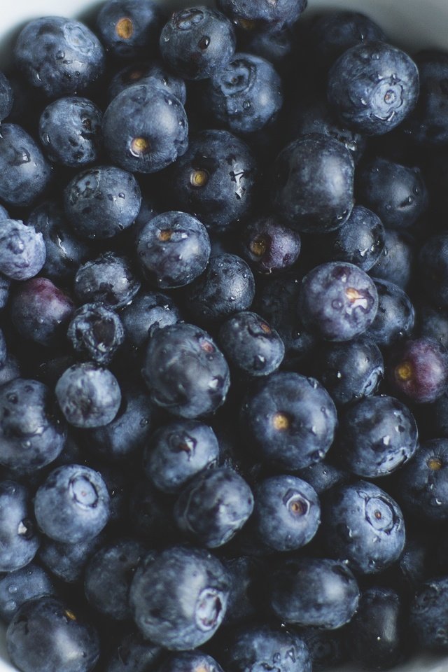 Обои ягоды, черника, тарелка, крупным планом, berries, blueberries, plate, closeup разрешение 3742x2495 Загрузить