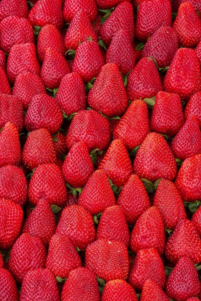 Обои еда, клубника, ягоды, изобилие, food, strawberry, berries, abundance разрешение 2560x1707 Загрузить