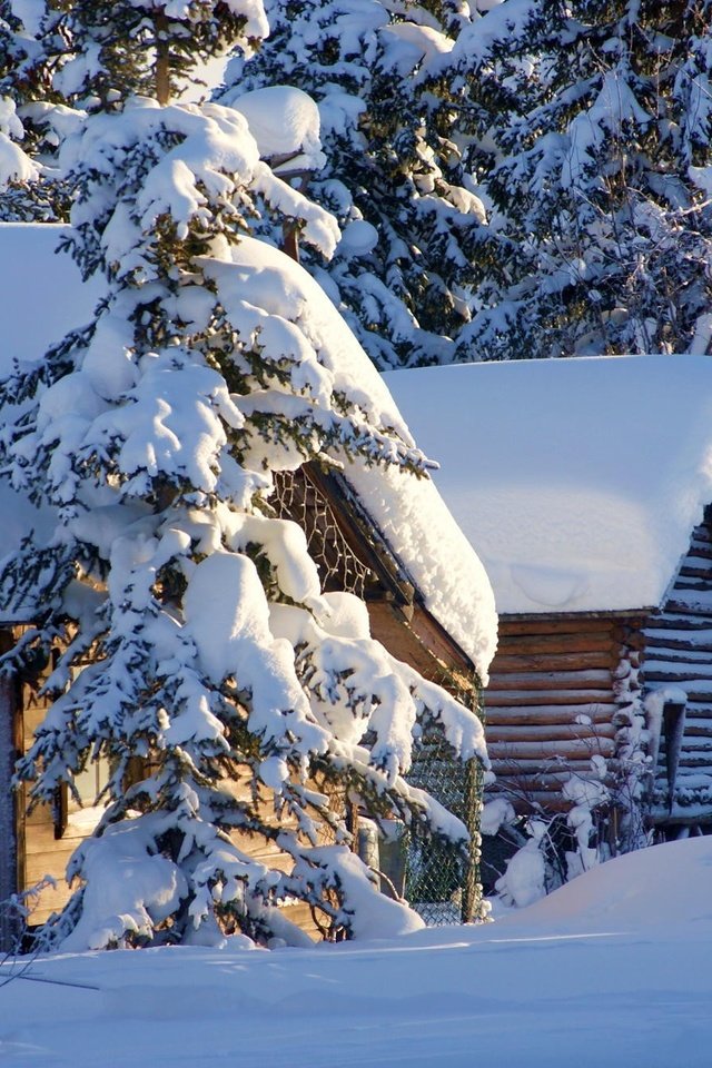 Обои деревья, снег, природа, зима, домики, сша, аляска, trees, snow, nature, winter, houses, usa, alaska разрешение 2048x1333 Загрузить