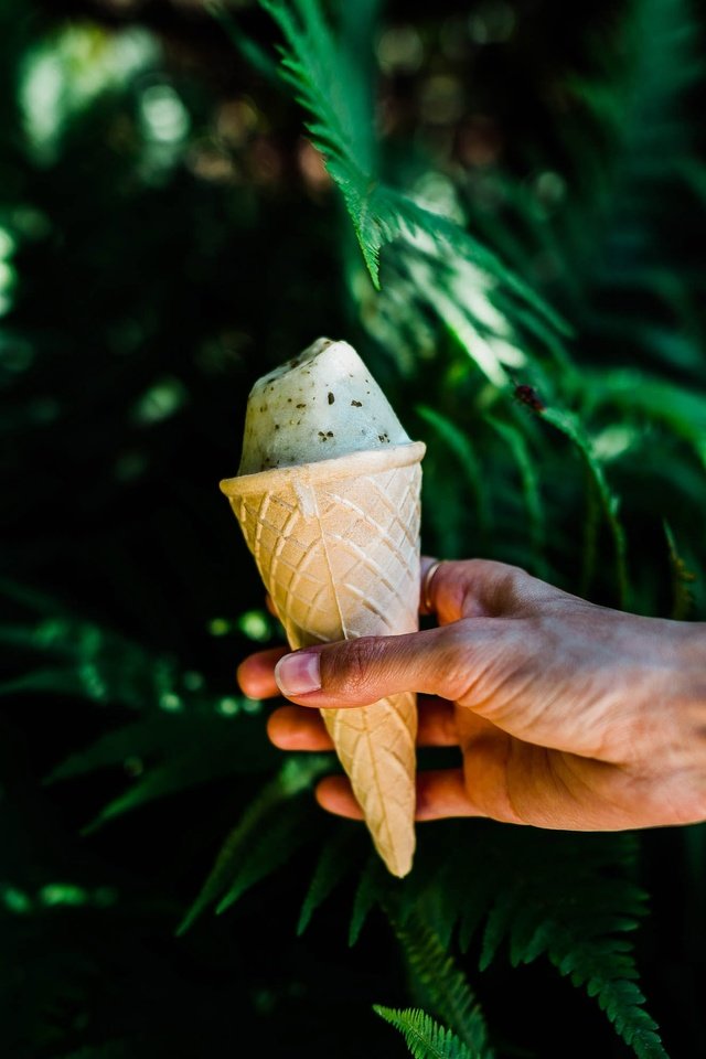 Обои природа, рука, листья, мороженое, растение, вафельный рожок, nature, hand, leaves, ice cream, plant, waffle cone разрешение 2997x2000 Загрузить