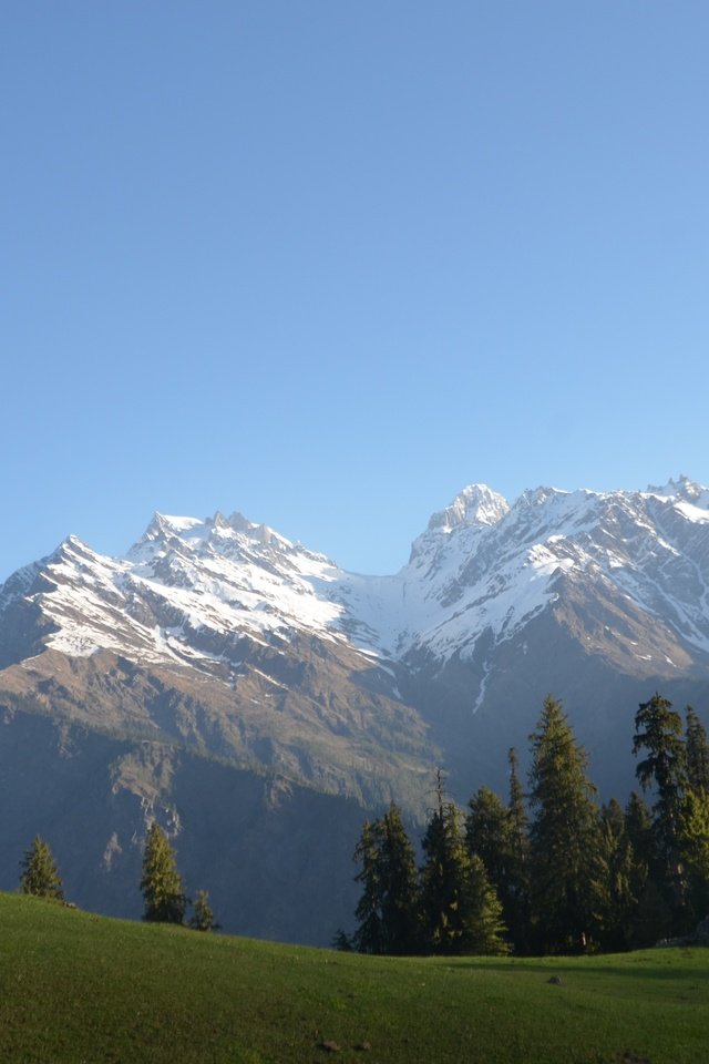 Обои небо, трава, деревья, горы, снег, природа, лес, индия, the sky, grass, trees, mountains, snow, nature, forest, india разрешение 4928x3264 Загрузить