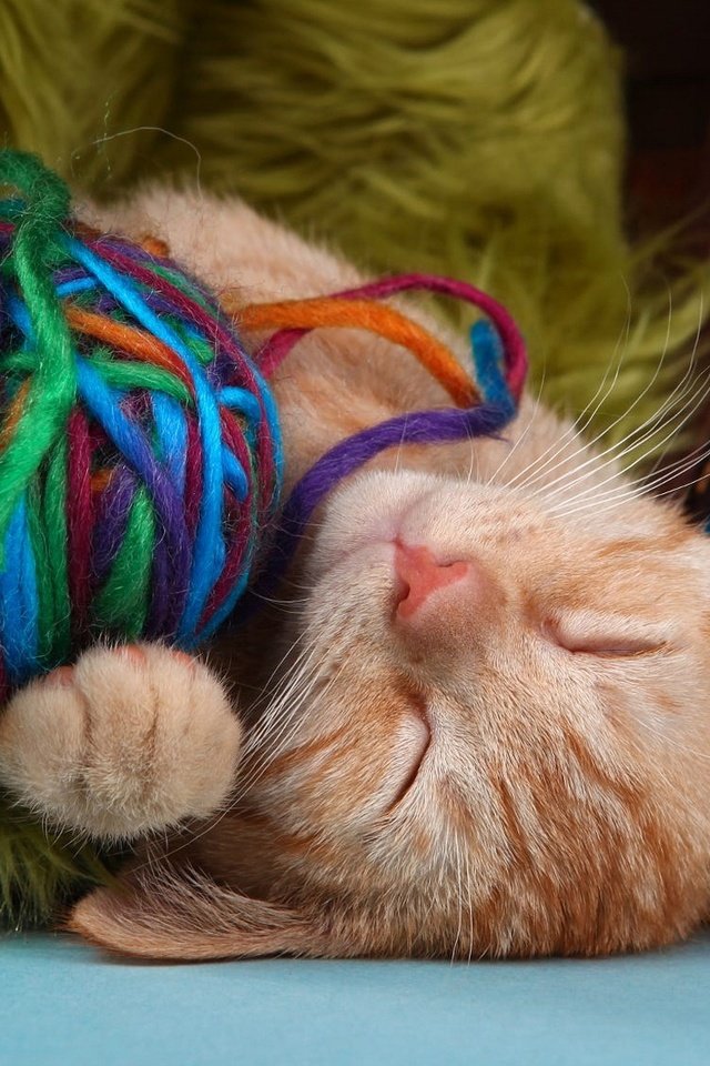 Обои кот, кошка, сон, котенок, спит, рыжий, клубки, нитки, пряжа, yarn, cat, sleep, kitty, sleeping, red, balls, thread разрешение 2048x1152 Загрузить