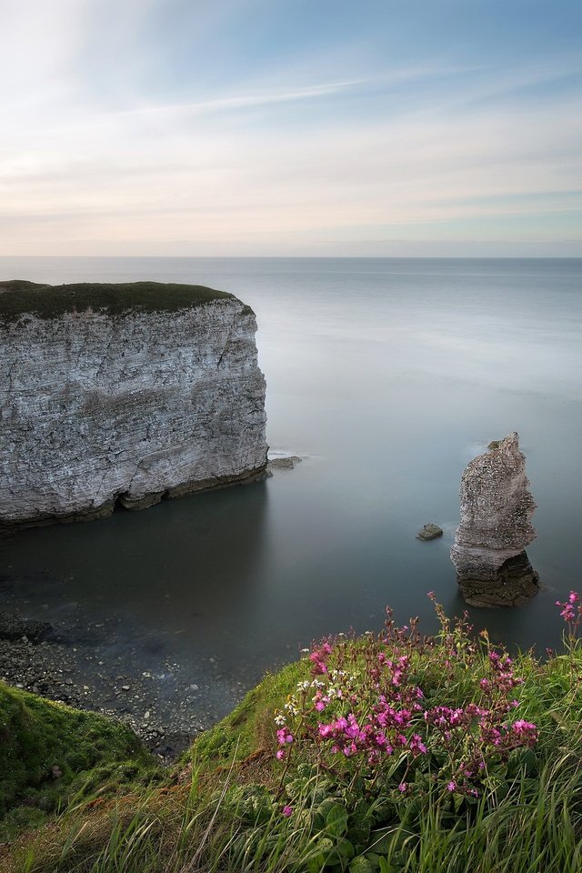 Обои цветы, трава, скалы, природа, берег, море, flowers, grass, rocks, nature, shore, sea разрешение 2048x1372 Загрузить