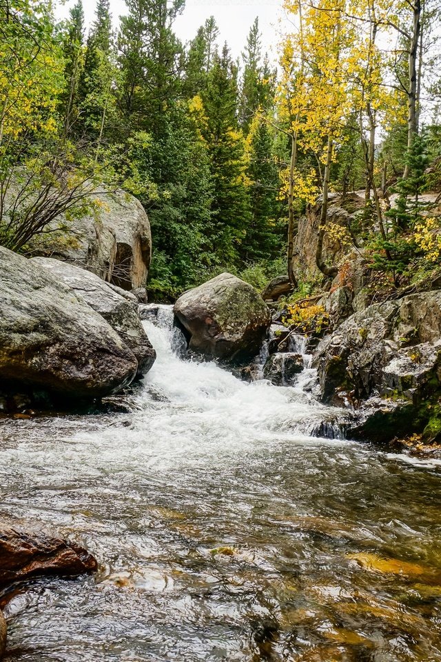 Обои деревья, река, камни, лес, осень, поток, trees, river, stones, forest, autumn, stream разрешение 2048x1365 Загрузить