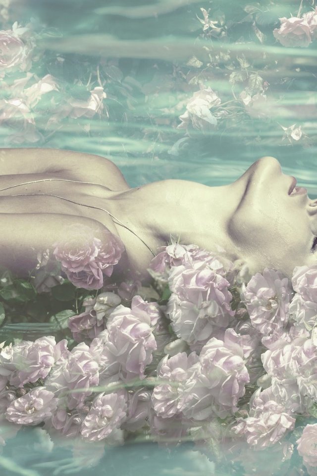 Обои цветы, вода, девушка, розы, закрытые глаза, flowers, water, girl, roses, closed eyes разрешение 1920x1200 Загрузить