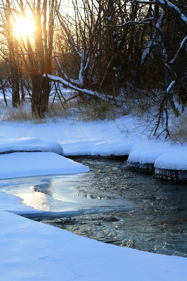 Обои деревья, река, снег, природа, зима, trees, river, snow, nature, winter разрешение 1920x1200 Загрузить