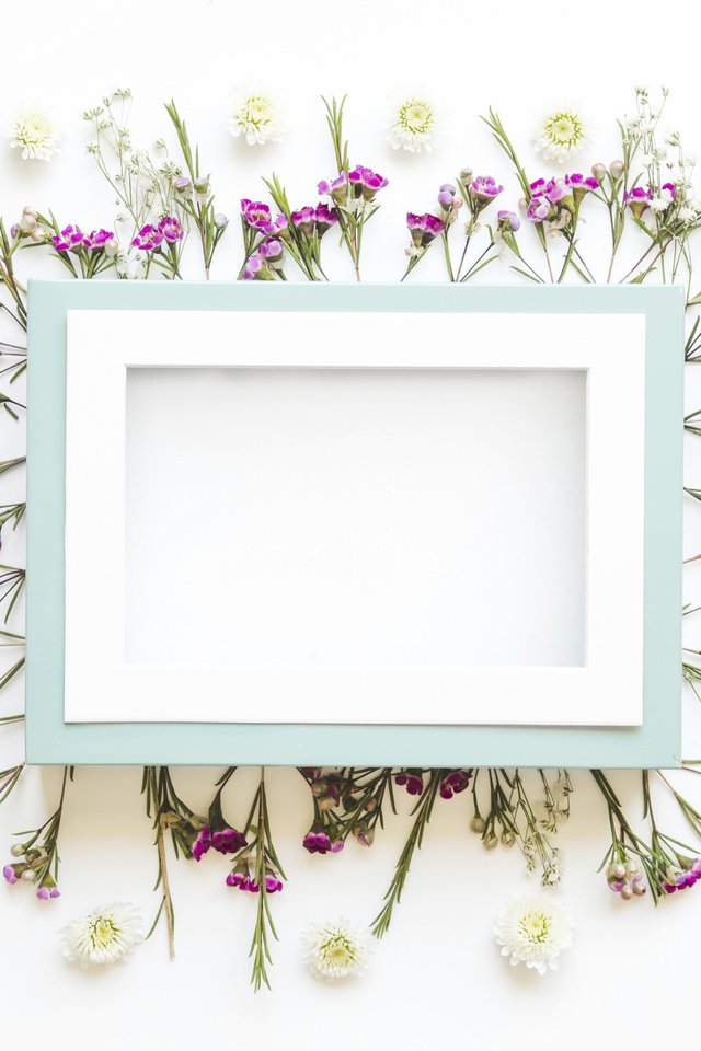 Обои цветы, лепестки, рамка, кадр,  цветы, декорация, декор, flowers, petals, frame, decoration, decor разрешение 5050x3367 Загрузить