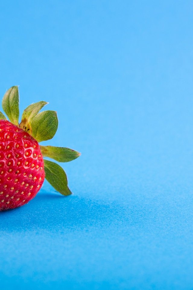 Обои ягода, клубника, голубой фон, berry, strawberry, blue background разрешение 4814x3218 Загрузить