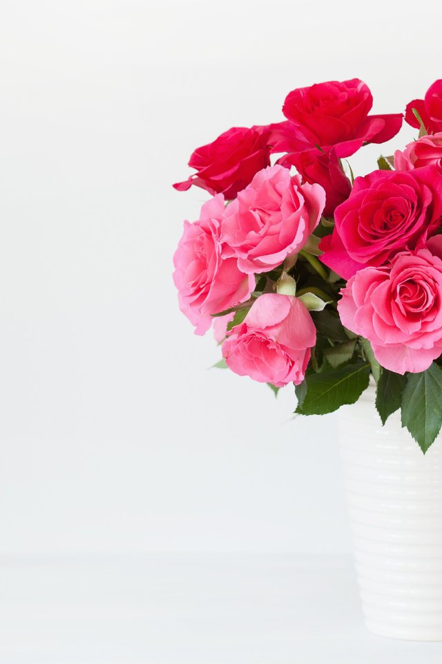 Обои цветы, розы, букет, ваза, flowers, roses, bouquet, vase разрешение 5616x3744 Загрузить