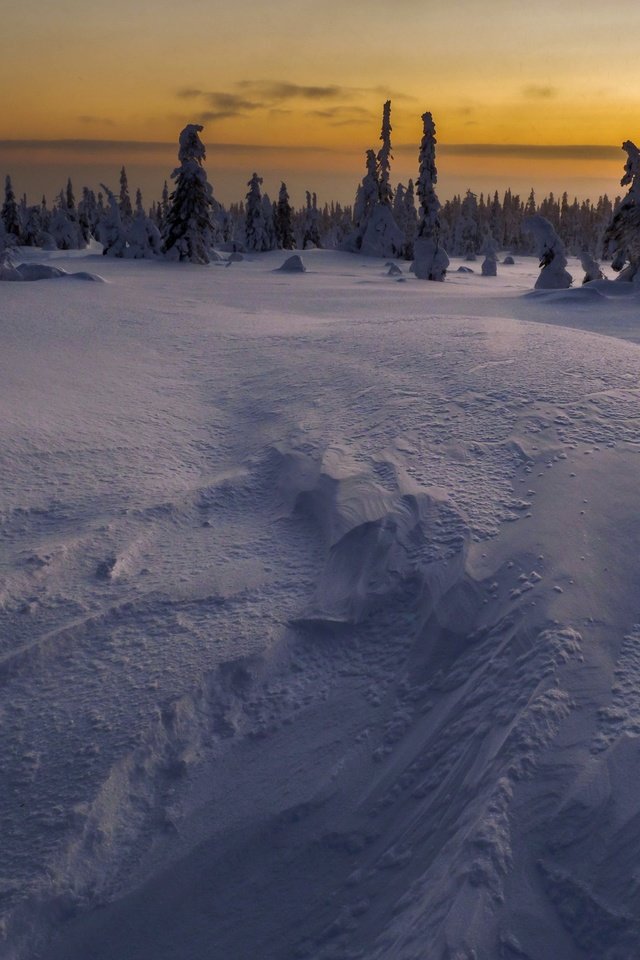 Обои ночь, снег, зима, поле, night, snow, winter, field разрешение 3840x2160 Загрузить