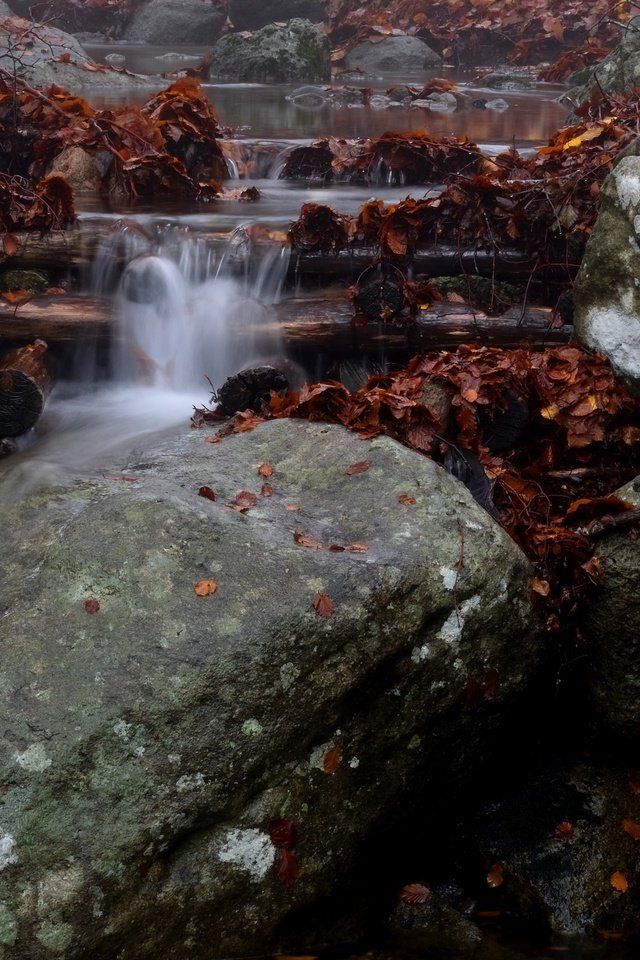 Обои река, природа, камни, водопад, осень, поток, каскад, river, nature, stones, waterfall, autumn, stream, cascade разрешение 3840x2160 Загрузить