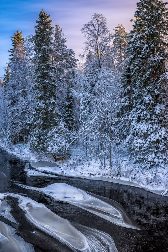 Обои река, лес, зима, утро, river, forest, winter, morning разрешение 3840x2160 Загрузить