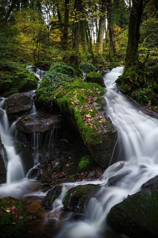 Обои вода, камни, лес, водопад, поток, темный фон, water, stones, forest, waterfall, stream, the dark background разрешение 3840x2160 Загрузить