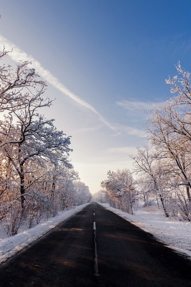 Обои снег, зима, зимний лес, snow, winter, winter forest разрешение 2048x1356 Загрузить